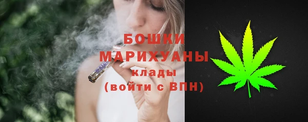 шишки Нея